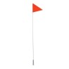 Flags